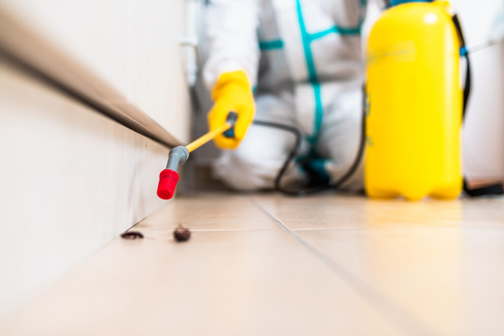 Akron Cockroach Experts