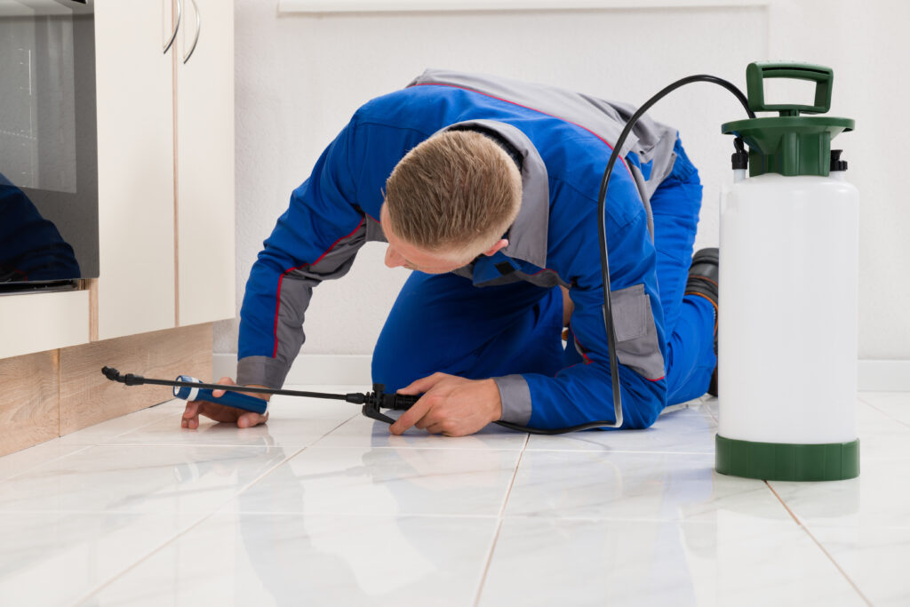Akron Ant Control Xperts