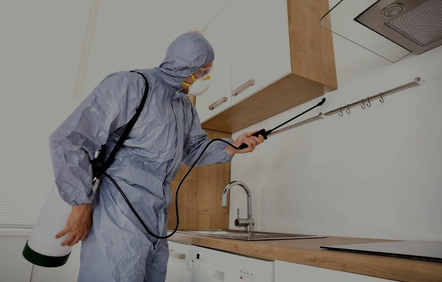 Akron pest managment